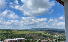 Panoramic View Harz